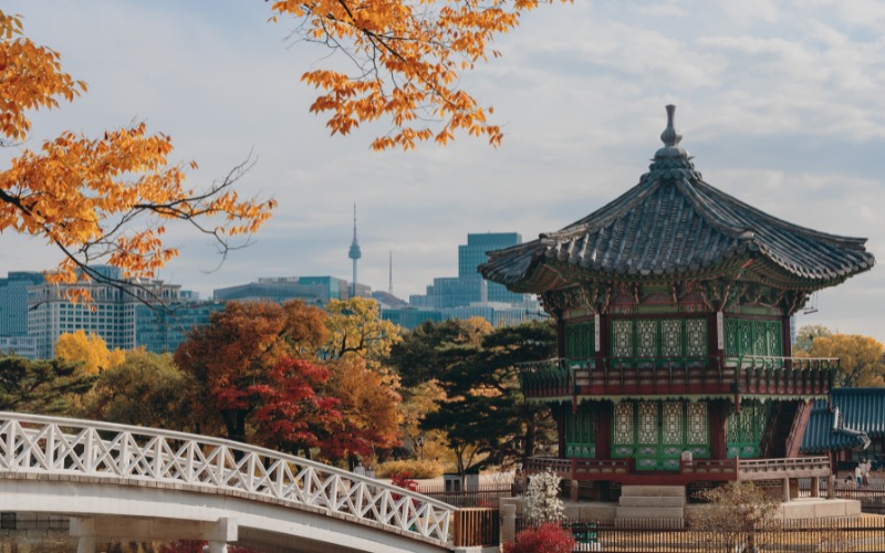 Korean Language Study